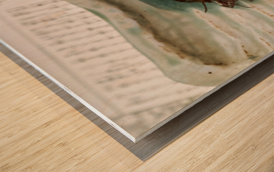 Traditional Japanese cuisine served in a restaurant in Miyajima Wood print