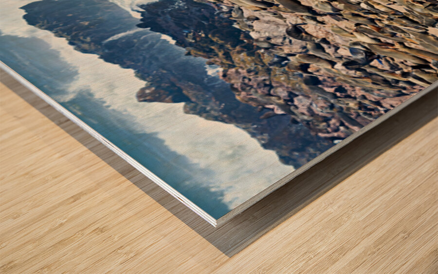 Cape fur seals resting on Skeleton Coast in Namibia near Cape Cr Wood print