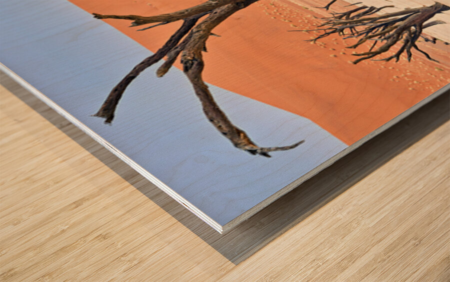 Dried camel thorn trees in Deadvlei pan in Namibia Wood print