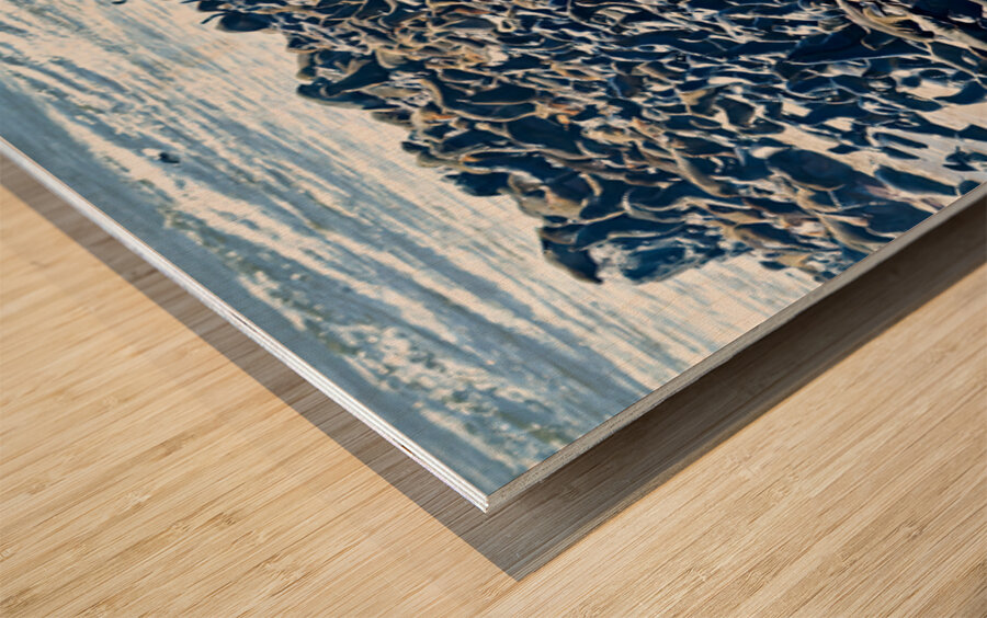 Cape fur seal colony on Skeleton Coast at Cape Cross in Namibia Wood print