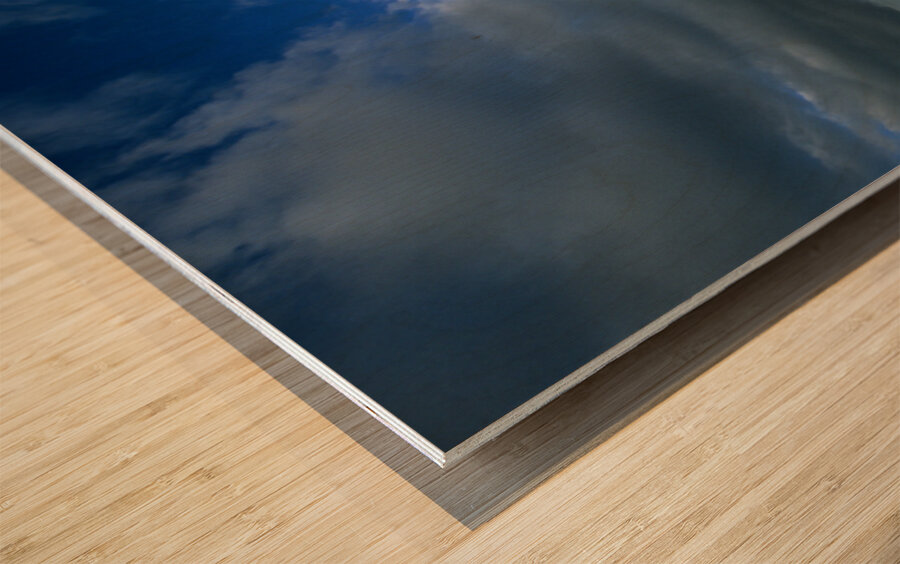 Photographers shadow falls on the Pinnacles desert at sunset. Wood print