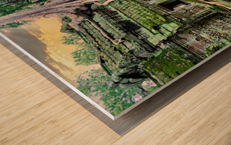 Ancient temple ruins overgrown by massive tree roots and moss. Wood print