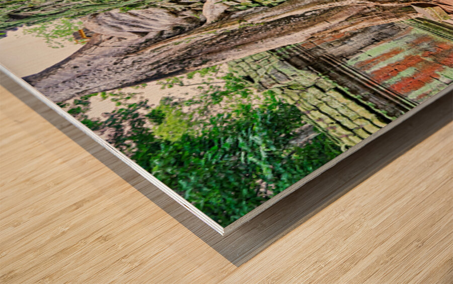 Ancient temple ruins overgrown by massive tree roots and moss. Wood print