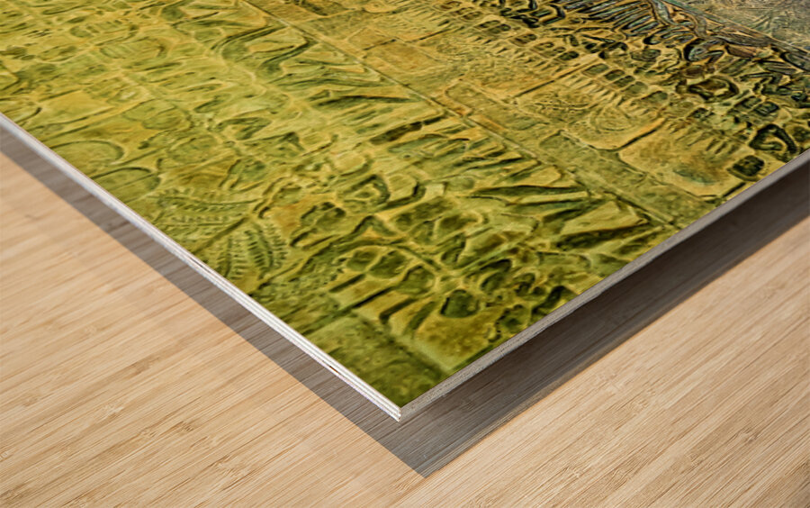 Ancient bas reliefs depicting processions deities and battles. Wood print