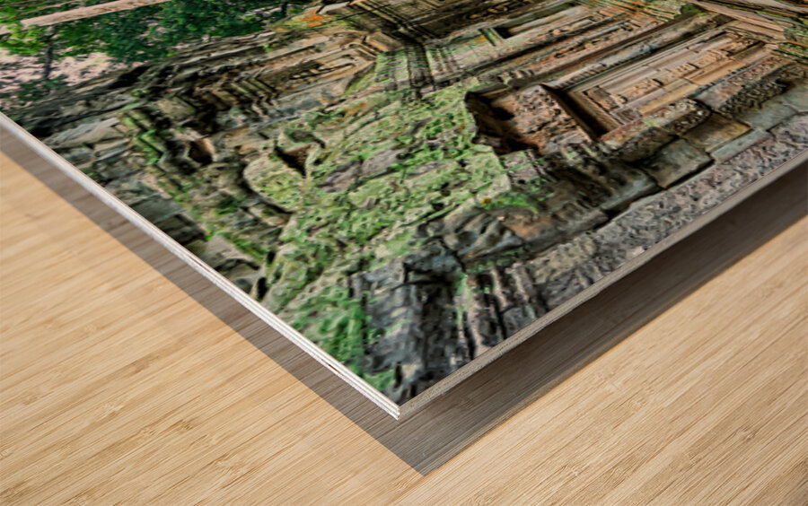 Ancient temple ruins consumed by giant tree roots and jungle. Wood print