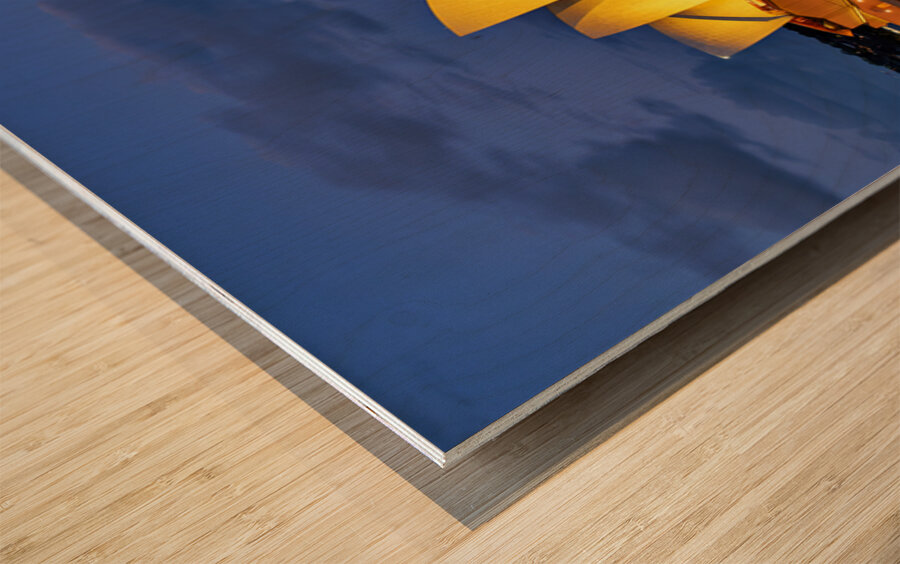 Sydney Opera House illuminated at dusk with harbor lights. Wood print