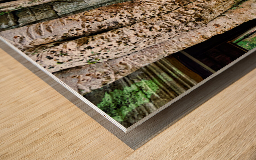 Giant tree roots engulf ancient temple ruins. Wood print