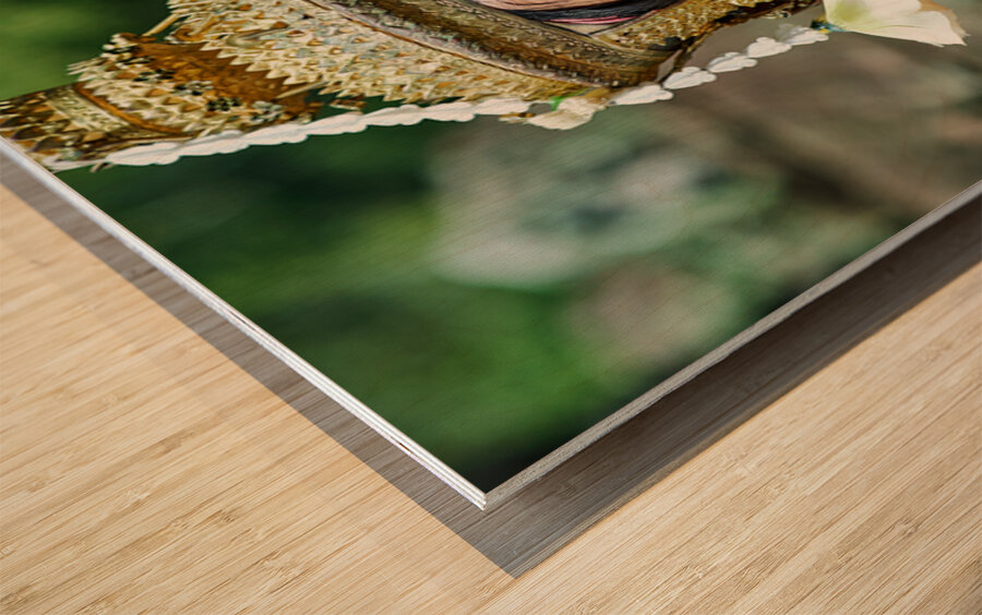 Smiling Cambodian dancer in traditional golden costume and crown Wood print