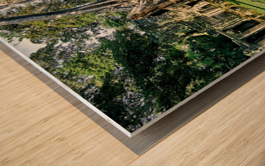 Ancient temple ruins overgrown by massive tree roots. Wood print