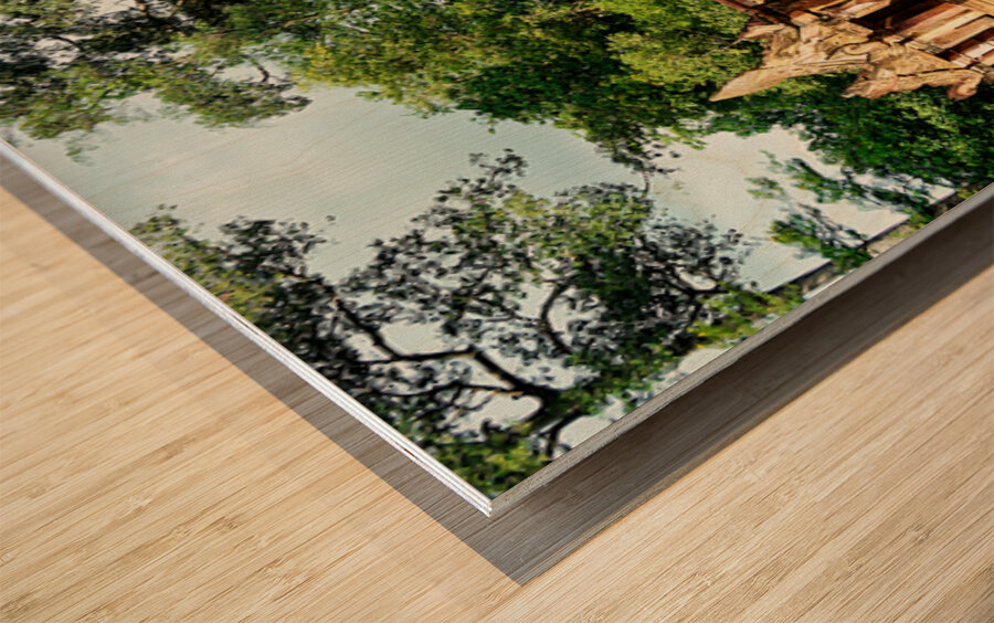 Ancient stone temple complex surrounded by lush jungle and water Wood print