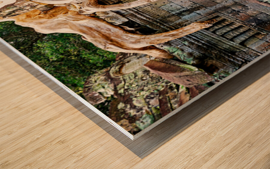 Massive tree roots engulf ancient stone temple ruins. Wood print
