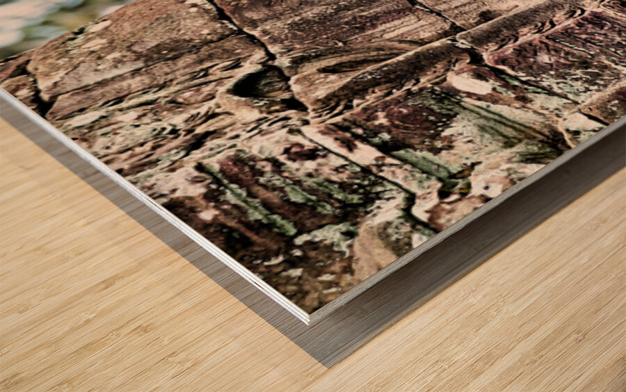 Weathered stone face carving from an ancient temple. Wood print