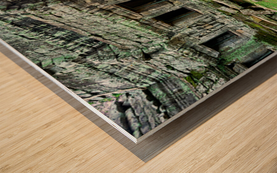 Ancient temple ruins intertwined with giant tree. Wood print