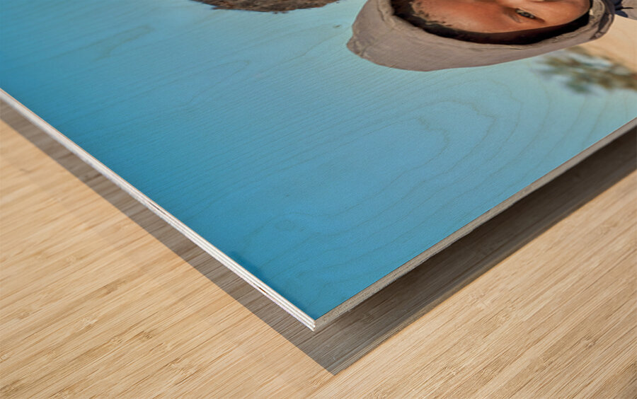 Portrait of children in Damaraland village in Namibia Wood print