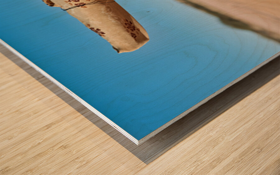 Portrait of a woman from the Herero Bantu ethnic group in Namibi Wood print