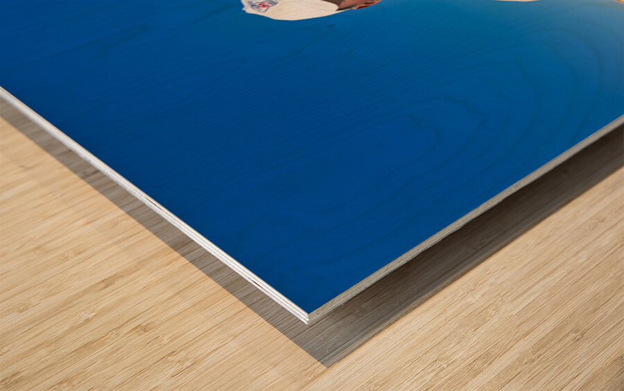 Shepherd holds his young goats in Namibia under bright blue sky Wood print