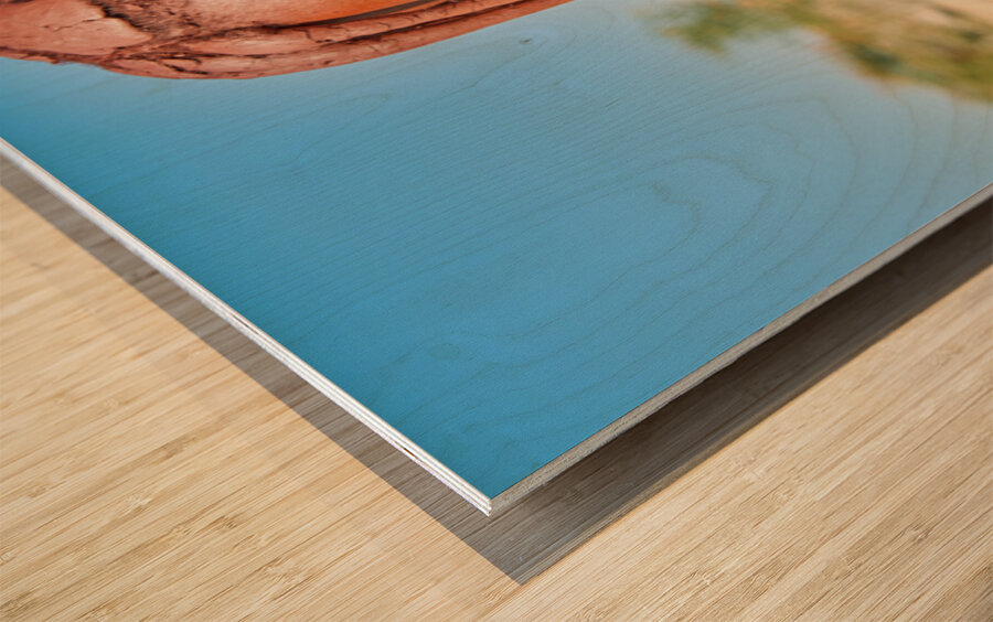 Portrait of a Himba woman in Namibias Kunene region Wood print