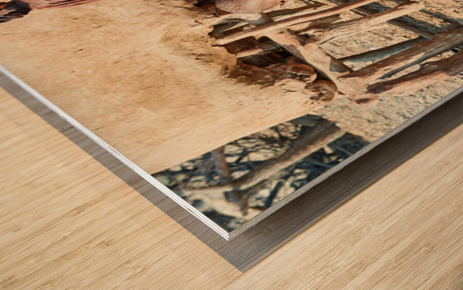 Mother and son in Himba village in Kunene Region of Namibia Wood print