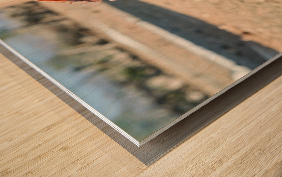 Traditional hair headdress worn by woman in Himba village in Nam Wood print