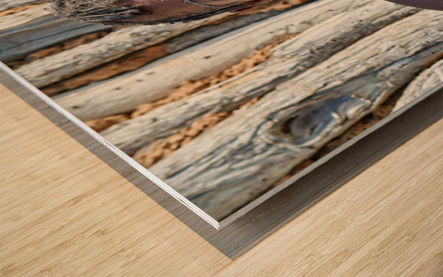 Old woman of Zemba Bantu ethnic group sits near wooden wall in N Wood print