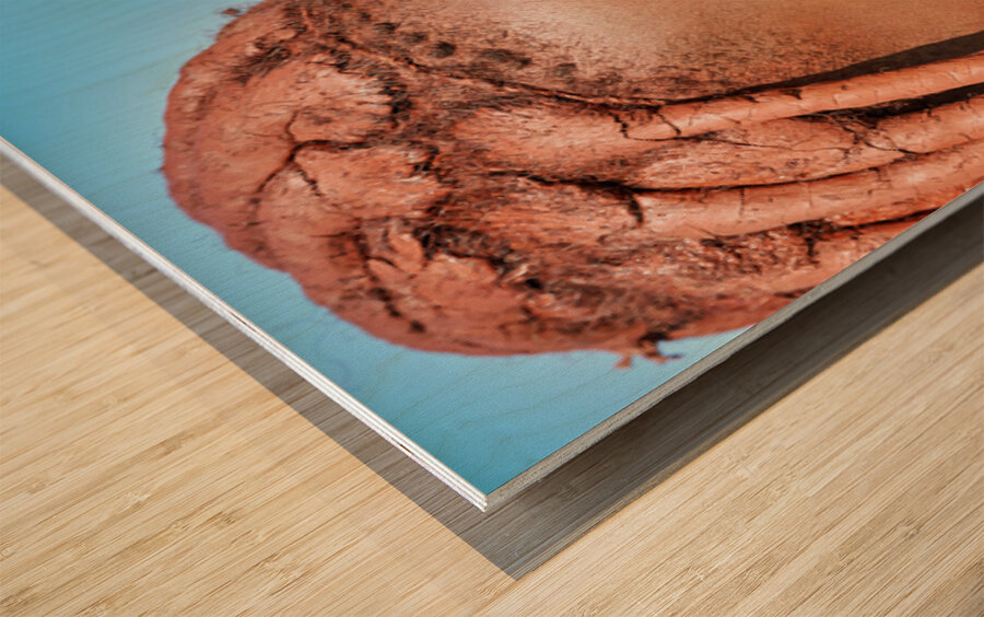 Portrait of a Himba woman in Kunene region of Namibia during the Wood print