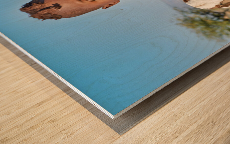 Himba child holding a goat in Kunene Region of Namibia Wood print