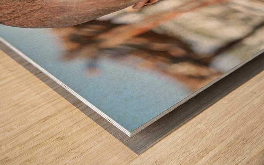 Portrait of a child from Himba Village in Kunene Region of Namib Wood print