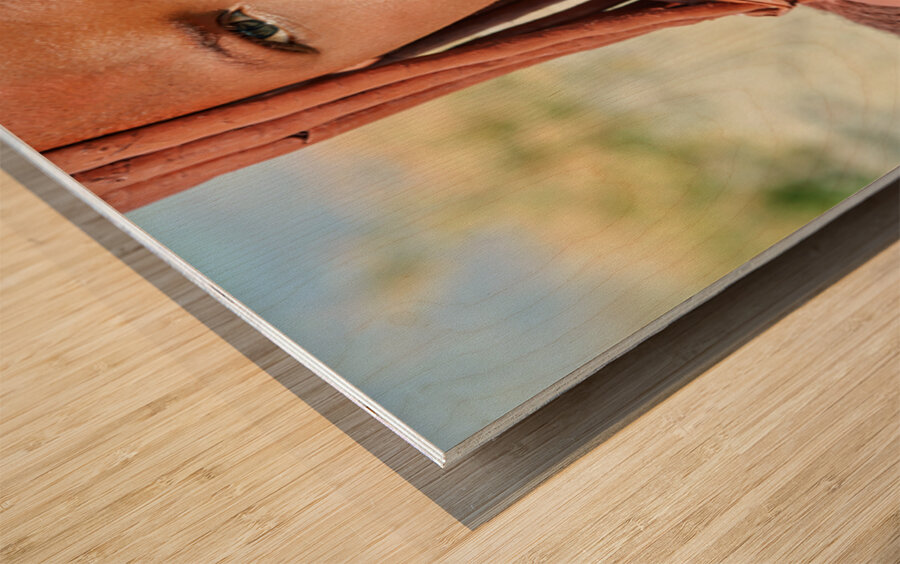 Portrait of a Himba woman in Kunene region of Namibia Wood print