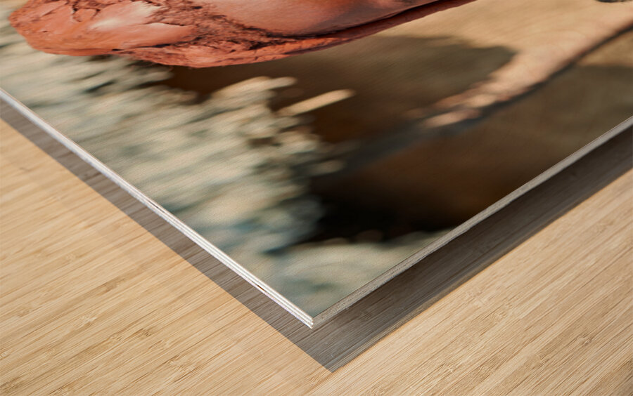 Himba woman in traditional hair headdress in Kunene Region of Na Wood print
