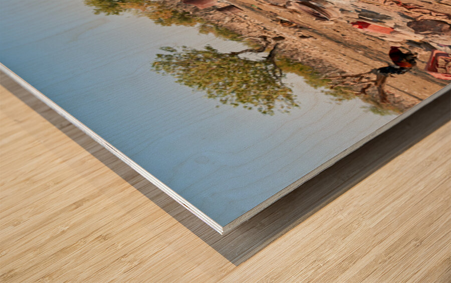 Children playing near their home in Himba Village in Namibia Wood print
