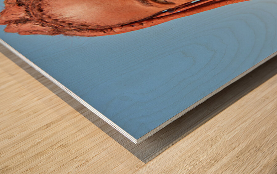 Portrait of a Himba woman in Kunene region of Namibia Wood print