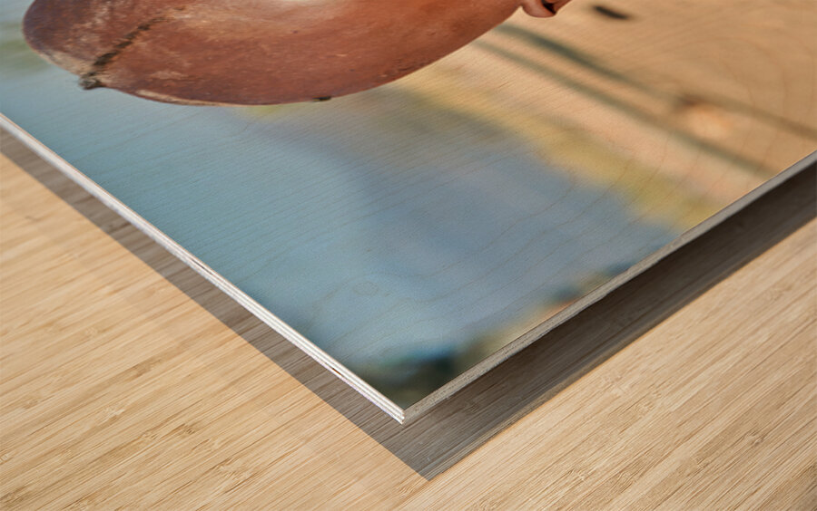 Portrait of a child from Himba village in Kunene region of Namib Wood print