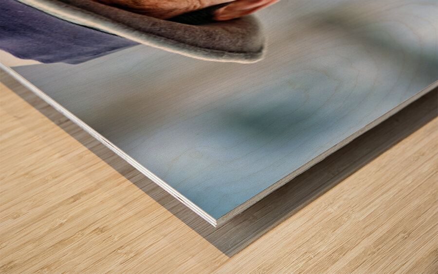 Portrait of a smiling man wearing a hat. Wood print
