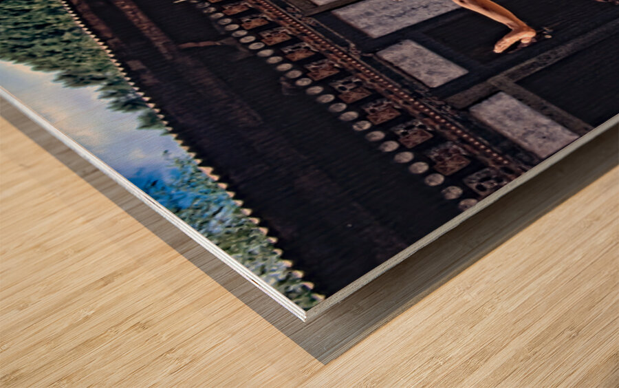 Bhutanese masked deer dancer performs for an attentive audience. Wood print