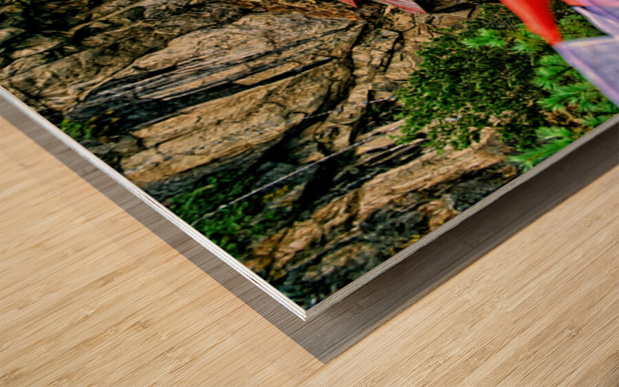 Bhutans Tigers Nest Monastery cliffside architecture prayer  Wood print