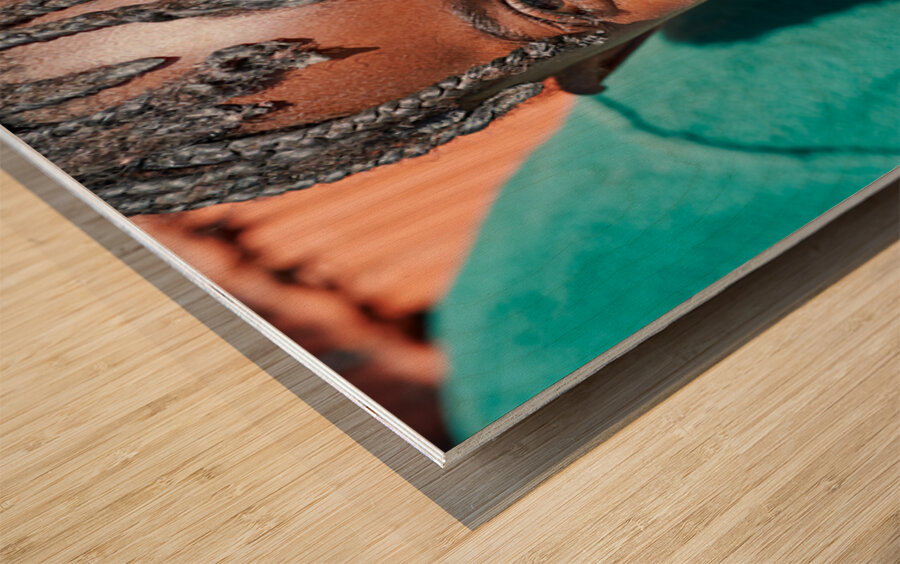 Joyful child smiles in Kavango Region of Namibia Wood print