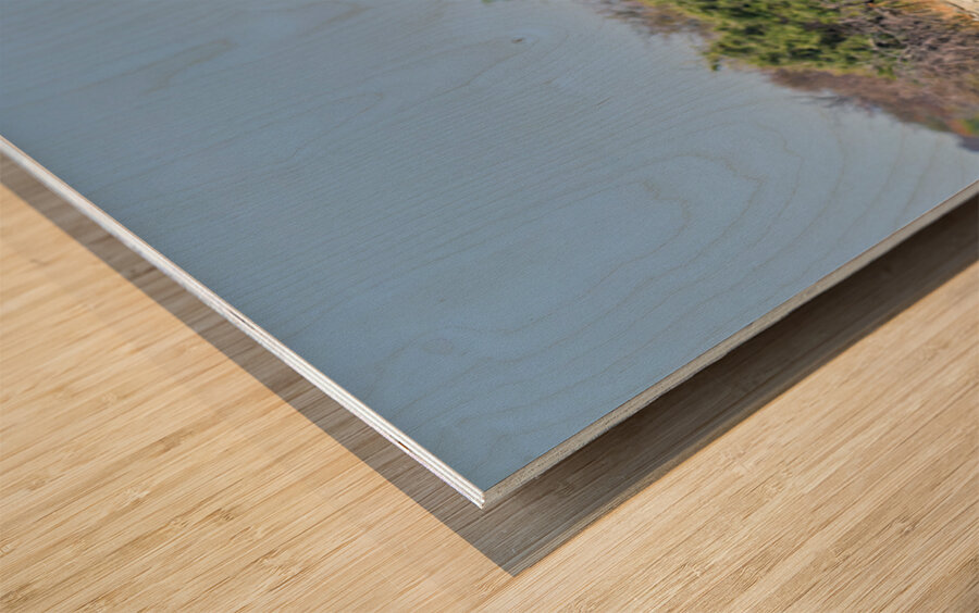 Giraffes walking together in Etosha National Park Namibia Wood print