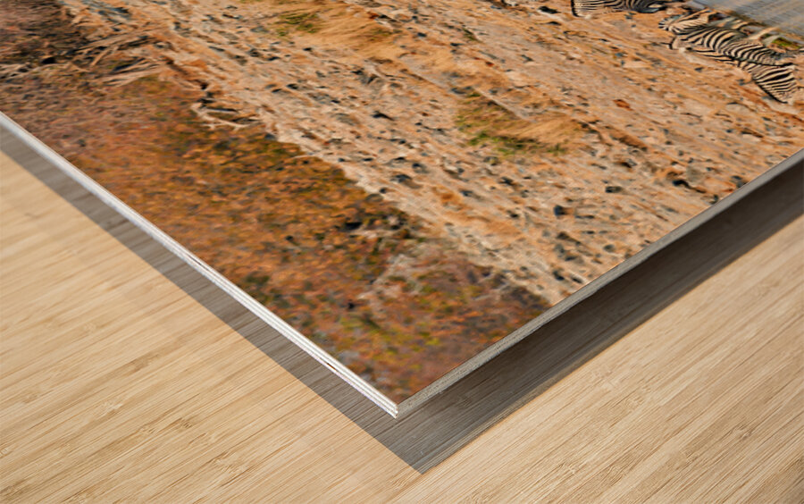 Zebras drink water at a waterhole in Etosha National Park Namibi Wood print