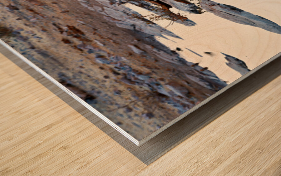 Elephant drinks at waterhole during sunset in Etosha National Pa Wood print