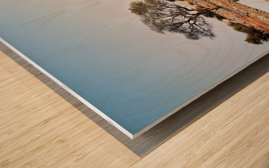 Zebras drink water at a waterhole in Etosha National Park Namibi Wood print