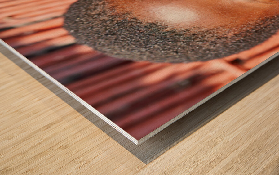 Joyful child smiles in Kavango Region of Namibia Wood print