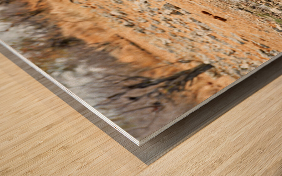 Gemsbok oryx drinking near water in Etosha National Park Namibi Wood print