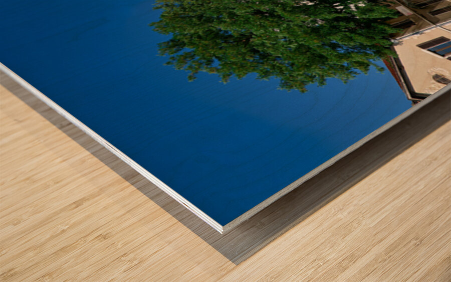 Visit to the castle in Annecy Haute Savoie France during a sun Wood print