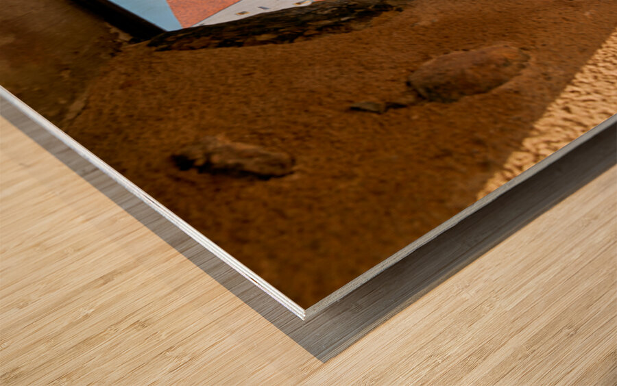 Visitors enjoy Saint Leon square in Eguisheim Alsace on wine rou Wood print