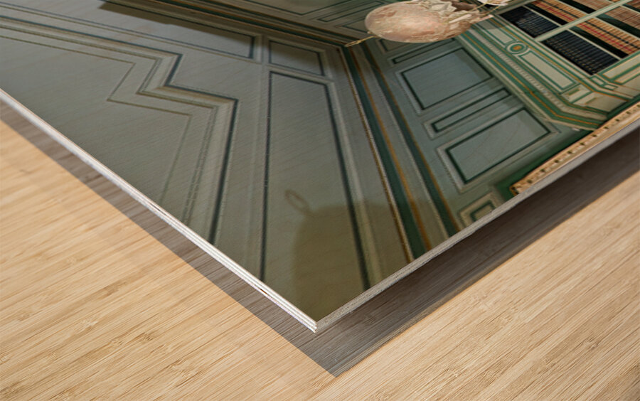 Chateau de Cheverny interior with piano and bookshelves Wood print