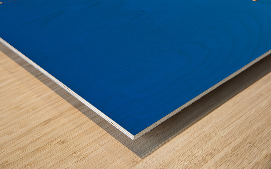 Visit to Carcassonne in France by the medieval fortress walls Wood print