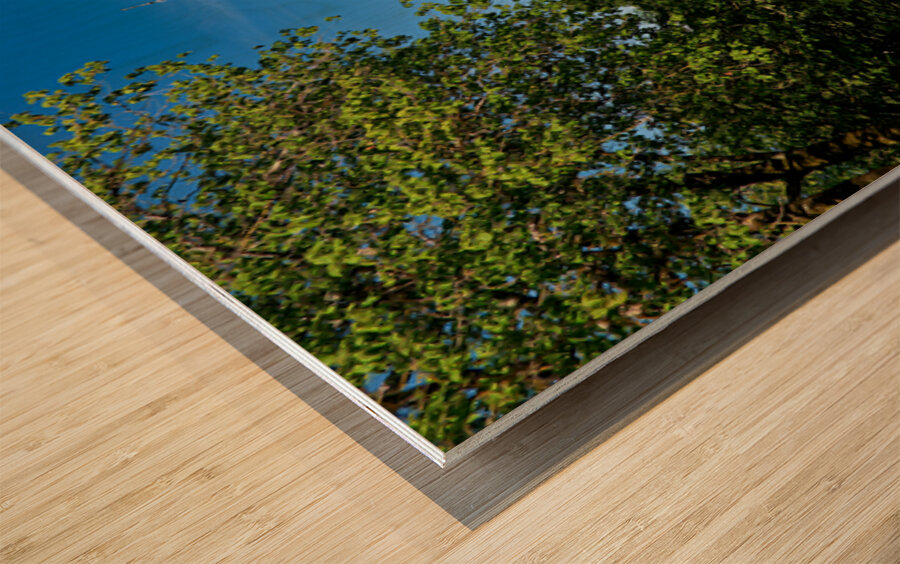 Visit to Azay le Rideau in Loire Valley France on a clear day Wood print