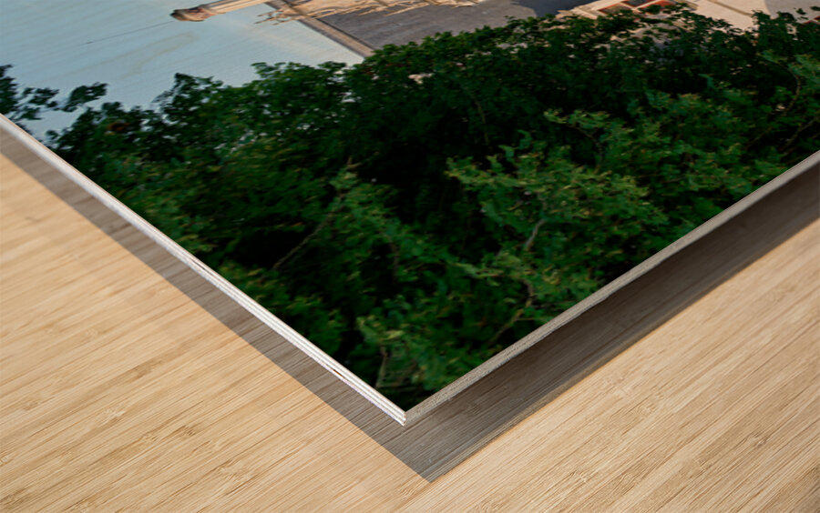 Chateau dAzay le Rideau in the Loire Valley France during the  Wood print