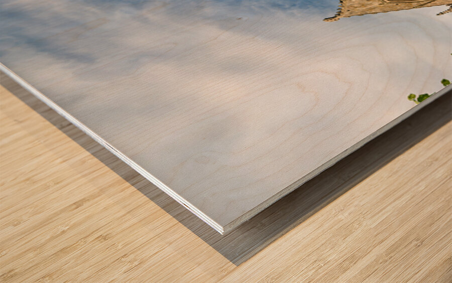 Explore the basilica of st saviour in dinan brittany france Wood print