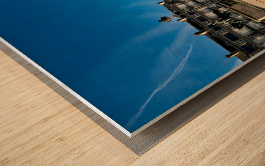 Vannes town hall in Brittany France with nearby park and buildin Wood print